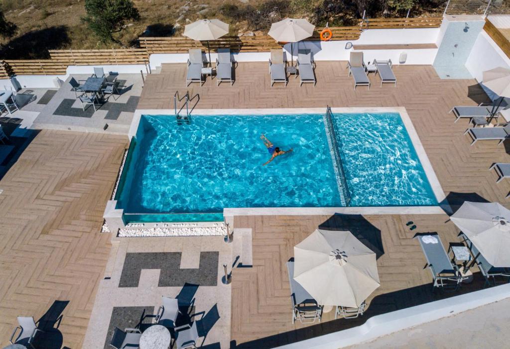 Flowers in the garden