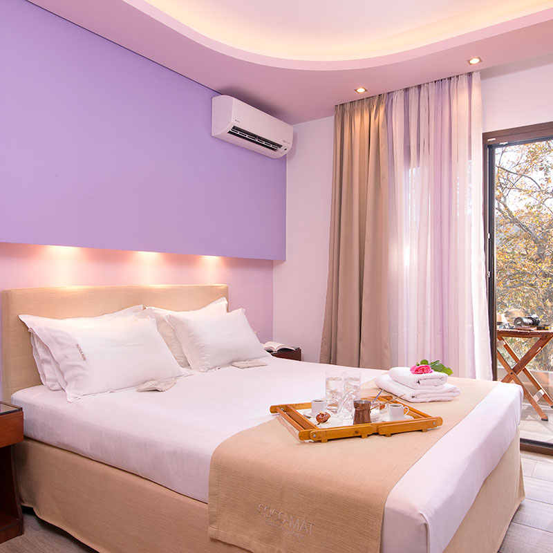 One Bedroom Apartment